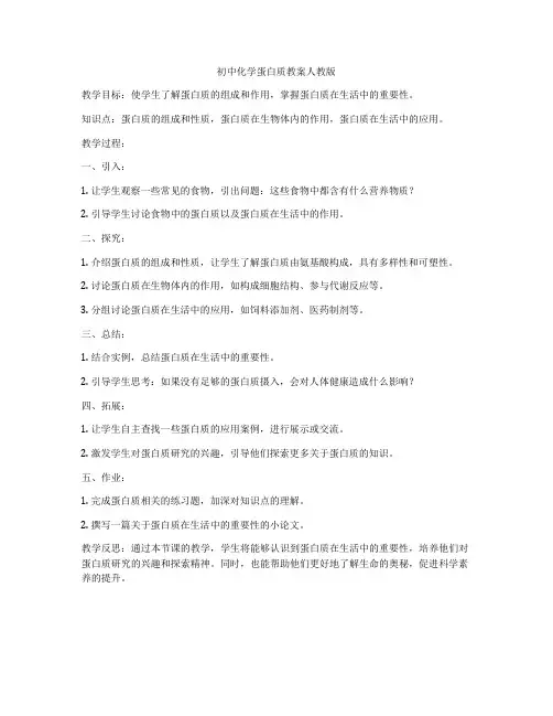 初中化学蛋白质教案人教版