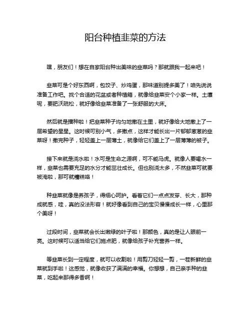 阳台种植韭菜的方法