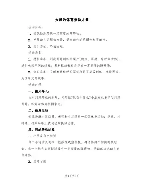 大班的体育活动方案(5篇)