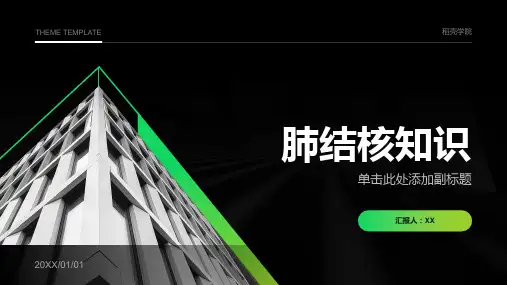 肺结核知识ppt课件