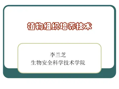 植物组织培养技术1(1)