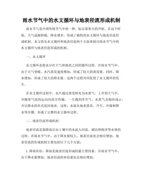 雨水节气中的水文循环与地表径流形成机制