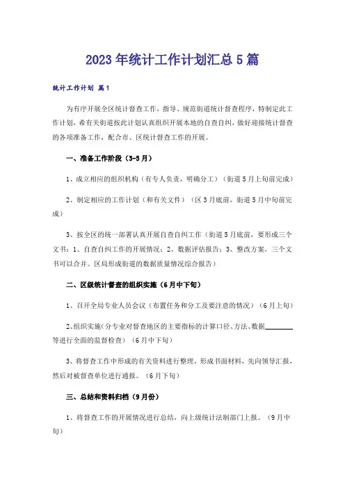 2023年统计工作计划汇总5篇