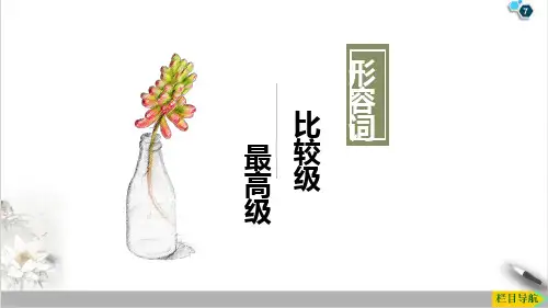 课件_人教版中考形容词、副词的比较级、最高级用法_优秀PPT课件