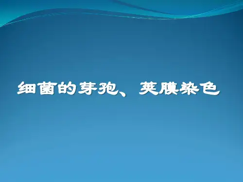 细菌的芽孢、荚膜染色