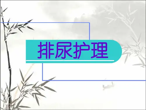 排尿护理-PPT