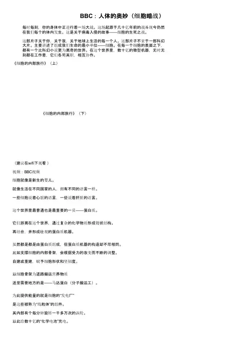 BBC：人体的奥妙（细胞暗战）
