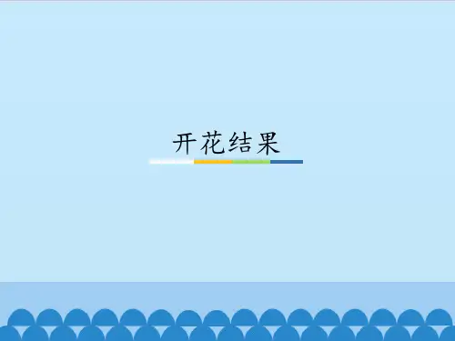 三年级下册科学课件-4 开花结果 - 粤教版(共22张PPT)