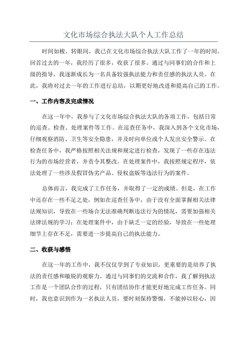 文化市场综合执法大队个人工作总结