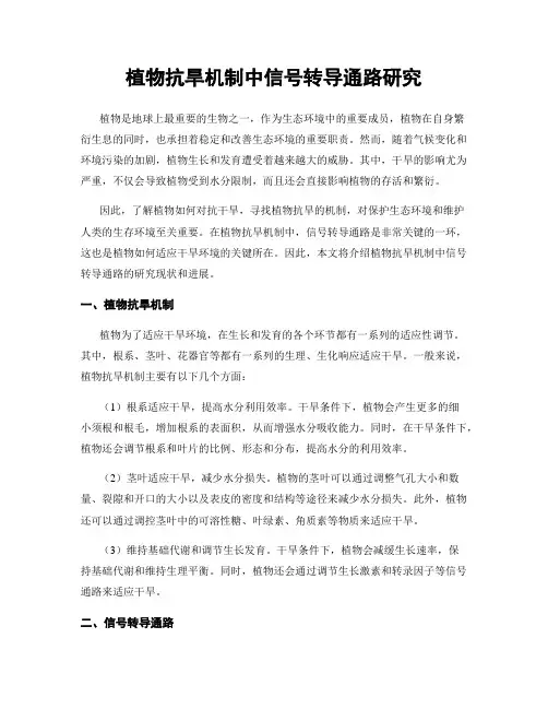 植物抗旱机制中信号转导通路研究
