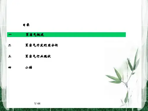 页岩气调研报告