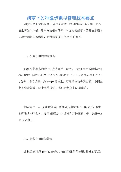 胡萝卜的种植步骤与管理技术要点