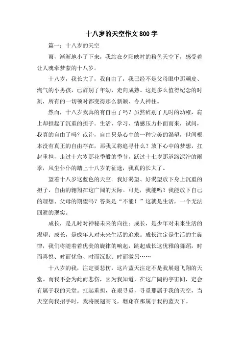 十八岁的天空作文800字
