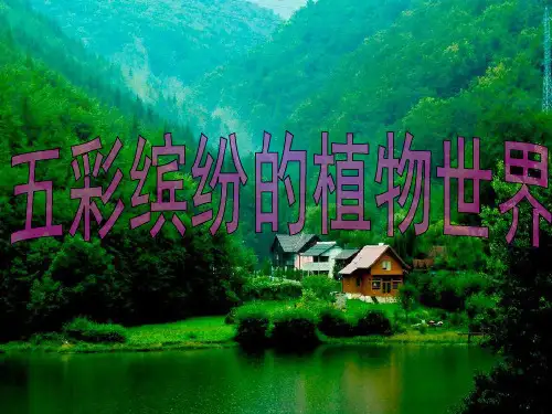 校八年级生物上册苏教版课件：14.1 五彩缤纷的植物世界(共54张PPT)
