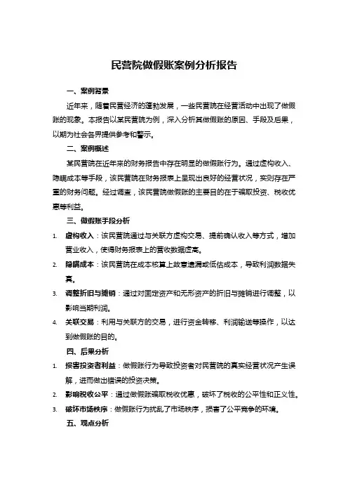 民营院做假账案例分析报告