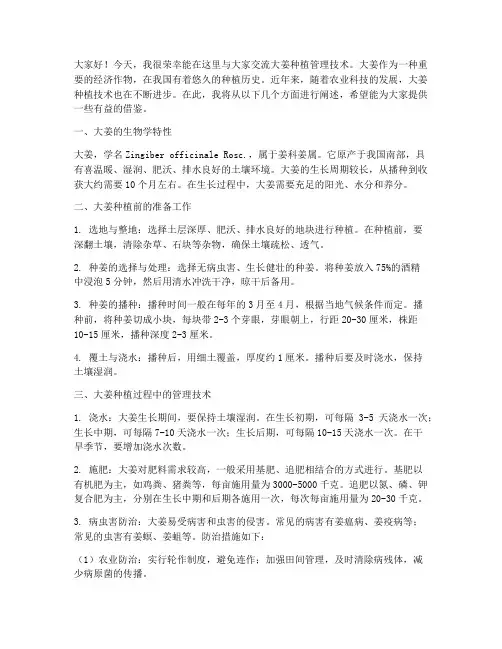大姜种植管理技术交流发言稿