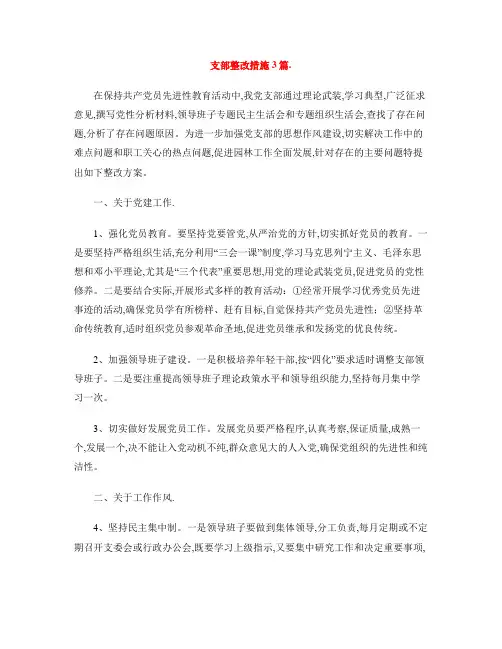 支部整改措施3篇