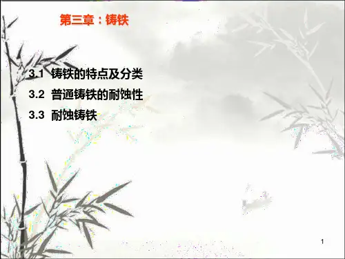 铸铁 PPT课件
