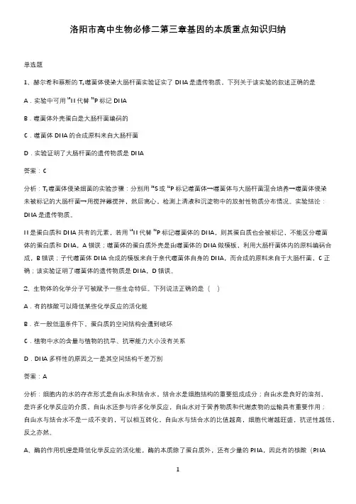洛阳市高中生物必修二第三章基因的本质重点知识归纳
