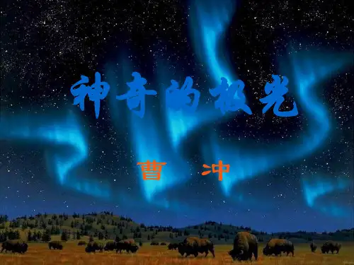 高一语文下  《神奇的极光》(语文版)