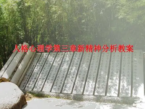 第三章 新精神分析 PPT课件