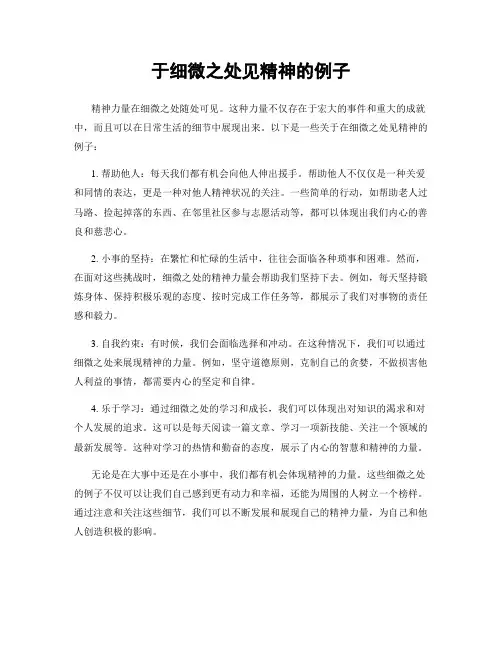 于细微之处见精神的例子
