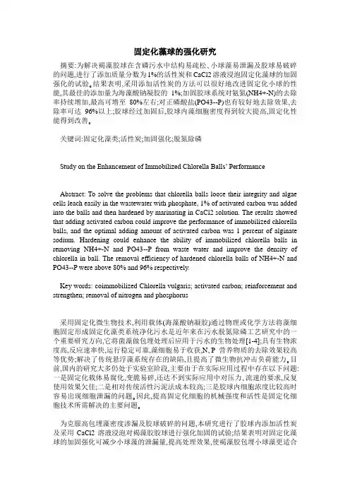 固定化藻球的强化研究
