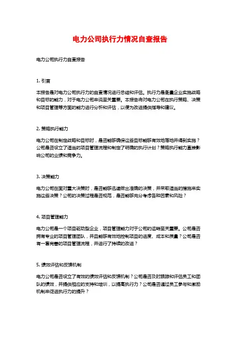 电力公司执行力情况自查报告