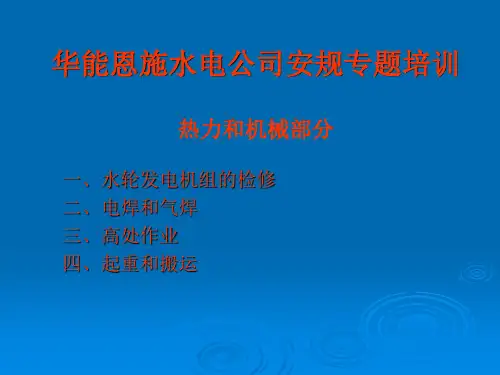水轮机发电机组的检修
