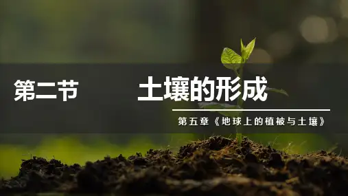 5.2 土壤的形成(高中地理必修上册)