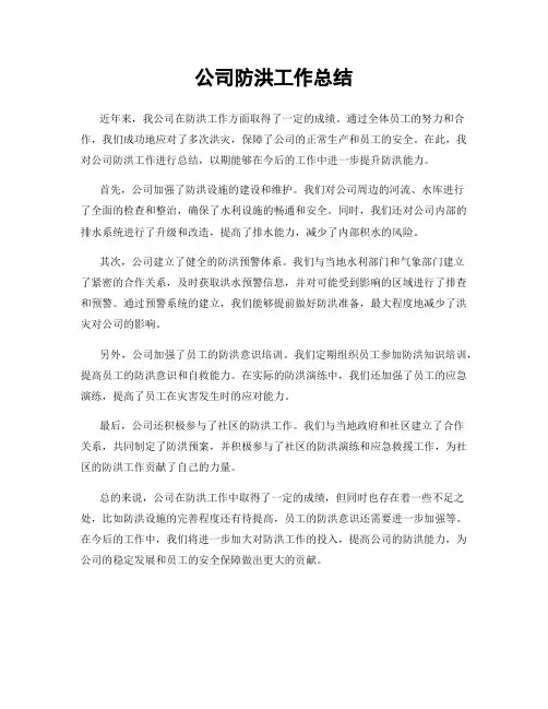 公司防洪工作总结