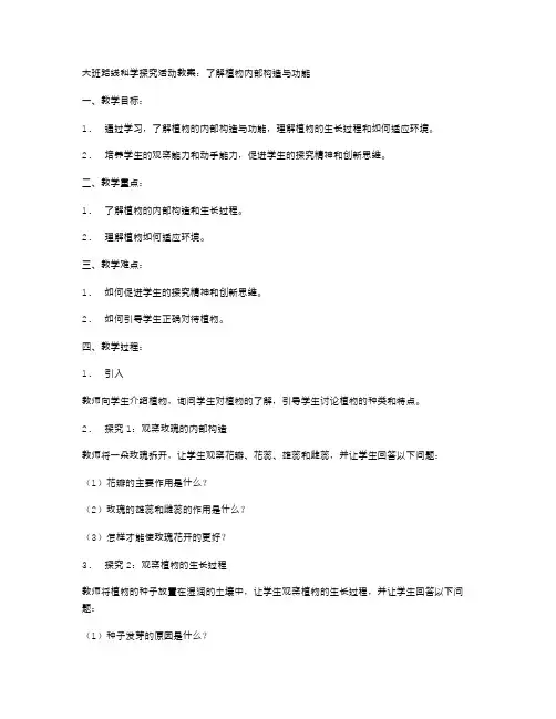 大班路线科学探究活动教案：了解植物内部构造与功能
