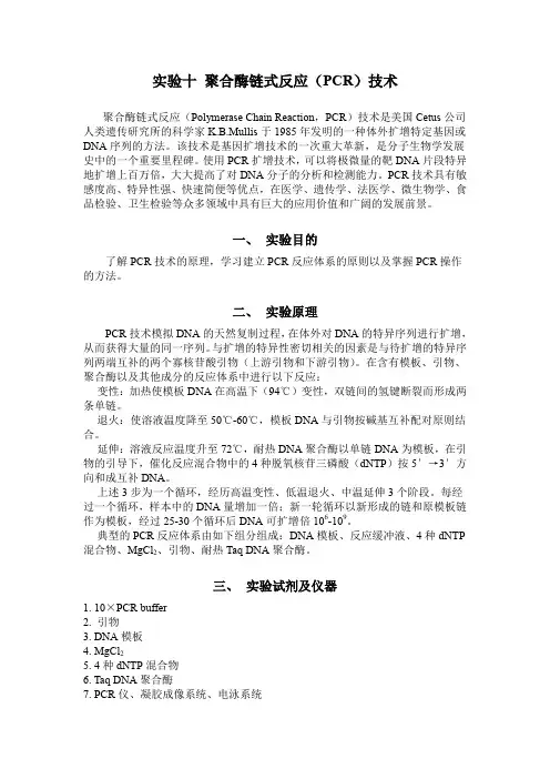聚合酶链式反应(PCR)技术