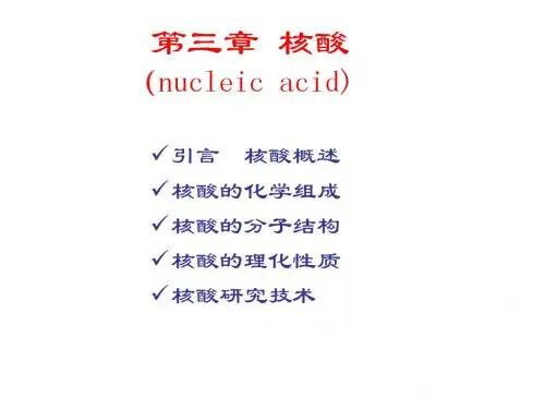 核酸概述