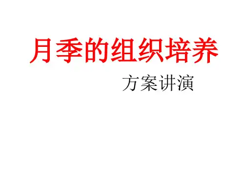 月季的组织培养