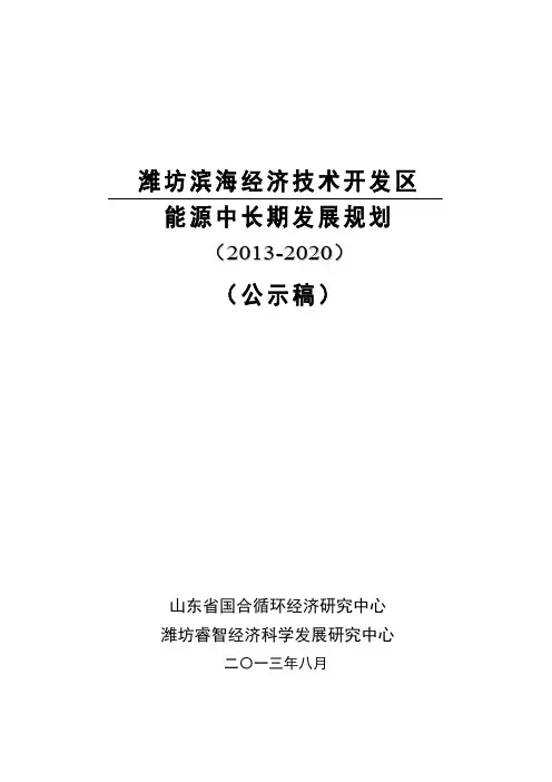 潍坊滨海经济技术开发区能源中长期发展规划16370