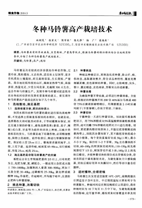 冬种马铃薯高产栽培技术