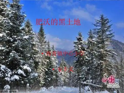 肥沃的黑土地 课件