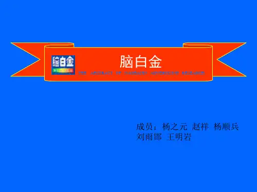 脑白金__PPT