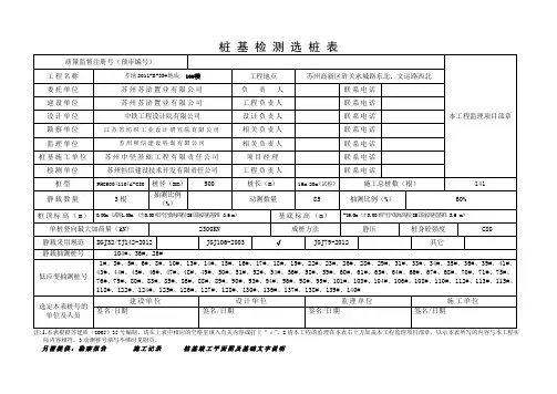 选桩表