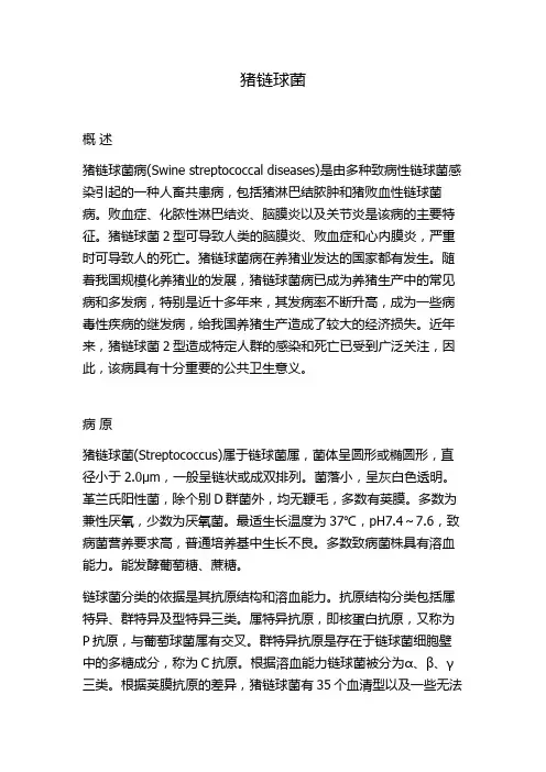 猪链球菌
