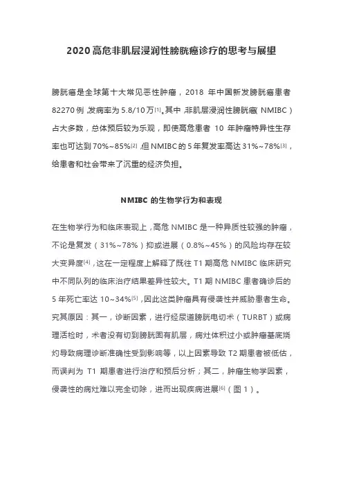 2020高危非肌层浸润性膀胱癌诊疗的思考与展望