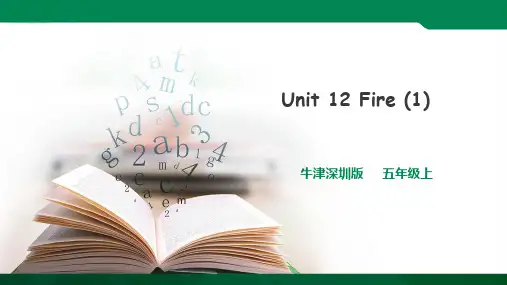 Unit 12 Fire第一课时 ppt（1）导学案