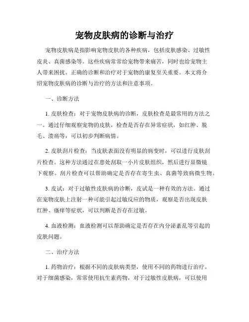 宠物皮肤病的诊断与治疗