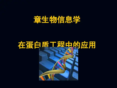 生物信息学在蛋白质工程中应用