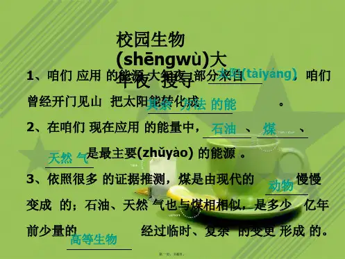 教科小学科学六上《4.1、校园生物大搜索》PPT课件(3)