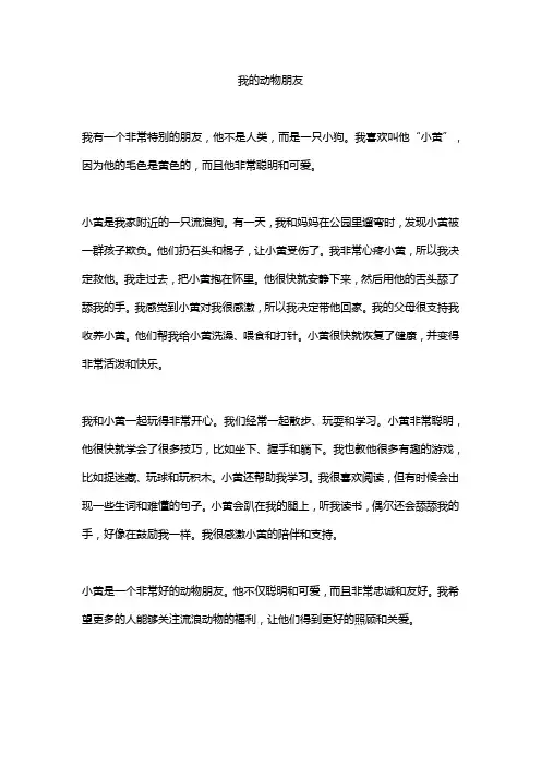 我的动物朋友500字作文5篇