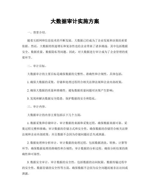 大数据审计实施方案