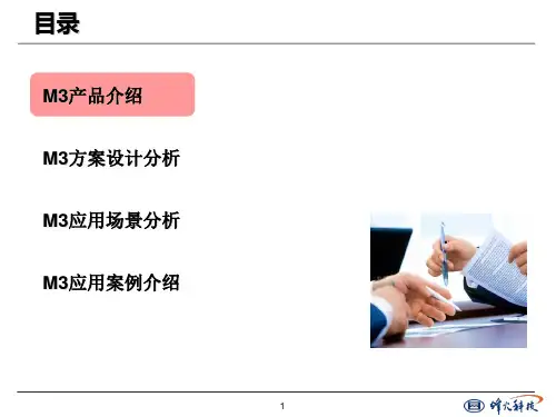 虹信分布系统解决方案-网优服务事业部-87页精选文档