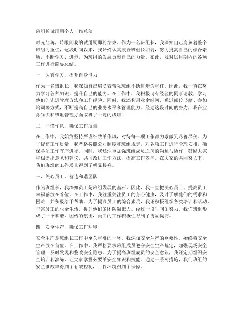 班组长试用期个人工作总结
